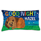 Alternate image 0 for Eric Carle Brown Bear Goodnight Pillowcase in Blue