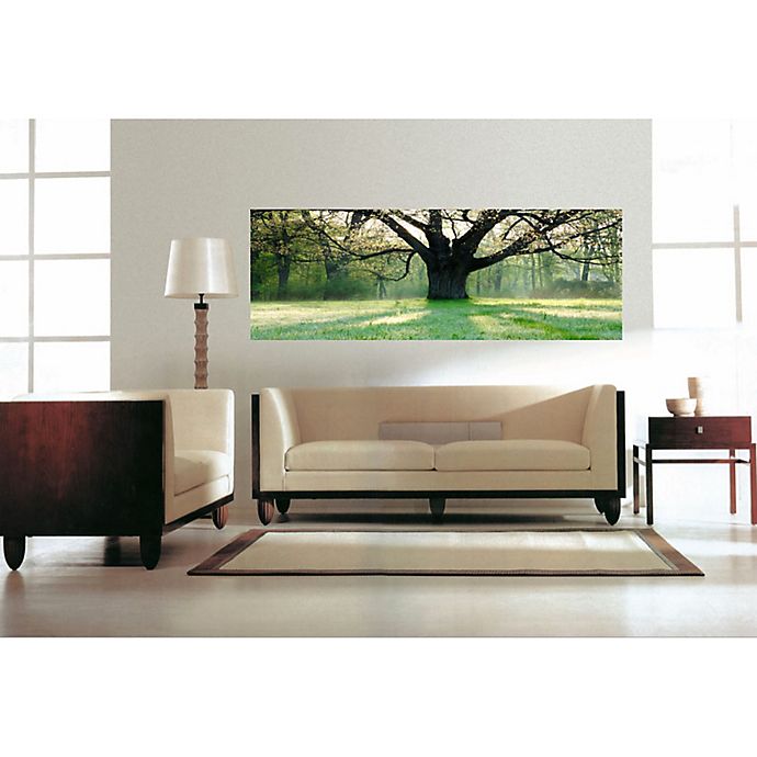 Elementem Photography Oak Tree 20 Inch X 60 Inch Canvas Wall Art Bed Bath Beyond
