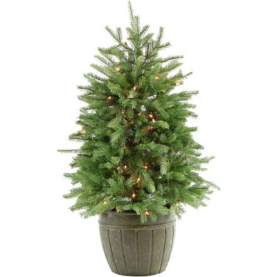 potted christmas tree