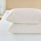 Alternate image 1 for AllergyCare Organic Cotton Pillow Protector