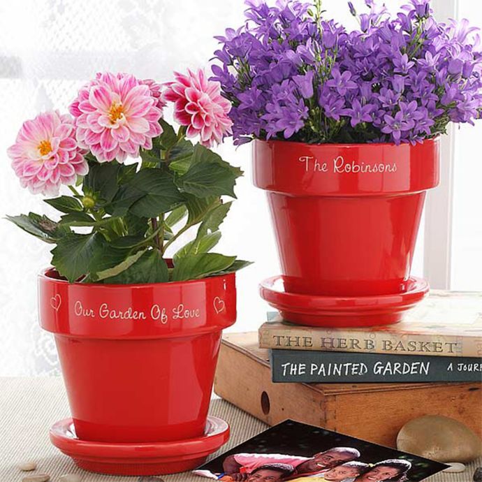Our Family Blooms Flower  Pot  in Red  Bed Bath Beyond
