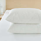 Alternate image 1 for AllergyCare Cotton Zipper Standard Pillow Protector
