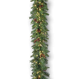 National Tree Company® 9 ft. Garwood Spruce Garland with 200 Warm White LED Lights