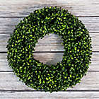 Alternate image 1 for Pure Garden Boxwood 16.5-Inch Round Wreath