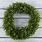 Alternate image 1 for Pure Garden 15-Inch Hedyotis Round Wreath