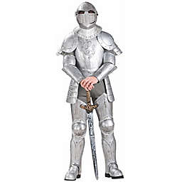 Knight in Shining Armor Adult Halloween Costume