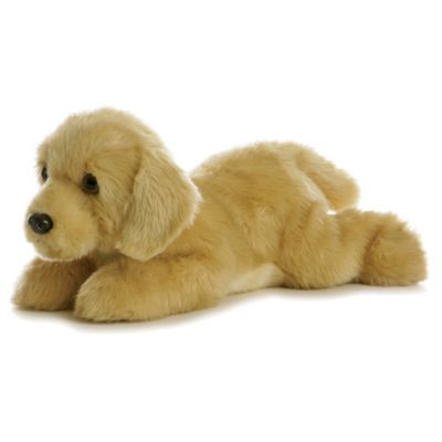 golden retriever and stuffed animal