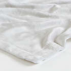Alternate image 3 for Special Delivery Fleece Baby Blanket