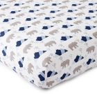 Alternate image 0 for Levtex Baby&reg; Trail Mix Fitted Crib Sheet