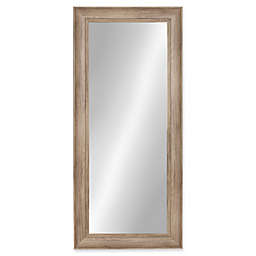 Kate and Laurel Macon 16-Inch x 36-Inch Panel Wall Mirror