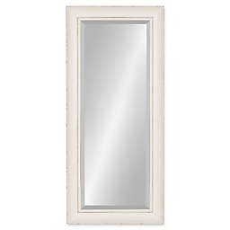 Kate and Laurel Macon 16-Inch x 36-Inch Panel Wall Mirror in Soft White