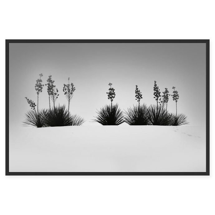 Marmont Hill Dune Botanicals 40 Inch X 60 Inch Framed Canvas Wall Art Bed Bath Beyond