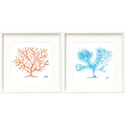Coral Wall Art Bed Bath Beyond