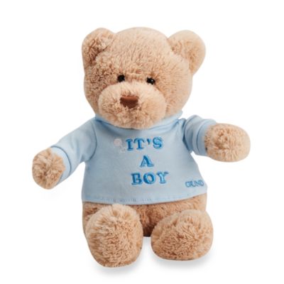 its a boy teddy bear