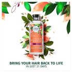 Alternate image 2 for Clairiol&reg; Herbal Essences 13.5 fl. oz. Naked Volume White Grapefruit and Mosa Mint Shampoo