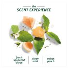 Alternate image 4 for Clairiol&reg; Herbal Essences 13.5 fl. oz. Naked Volume White Grapefruit and Mosa Mint Shampoo