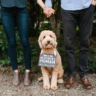 Alternate image 4 for Pearhead&reg; Pet&#39;s Baby Announcement Chalkboard