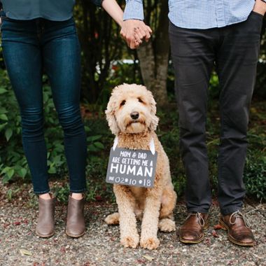 Pearhead&reg; Pet&#39;s Baby Announcement Chalkboard. View a larger version of this product image.