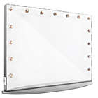 Alternate image 0 for Hollywood Glow&trade; Pro Vanity Mirror in Silver