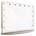 Alternate image 0 for Hollywood Glow&trade; Pro Vanity Mirror in Champagne Gold