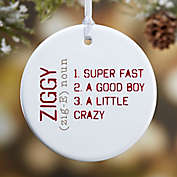 Definition of Pet 1-Sided Glossy Christmas Ornament