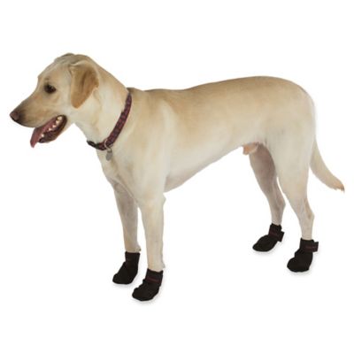 dog paw snow boots