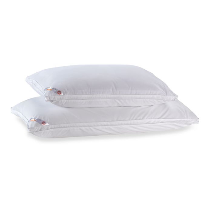 Allergy Luxe Arm Hammer Side Sleeper Pillow 300 Thread Count