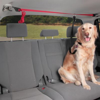 advantek vehicle pet barrier