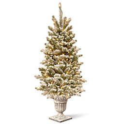 National Tree Company® 4-Foot Pre-Lit Snowy Sheffield Spruce Artificial Christmas Tree