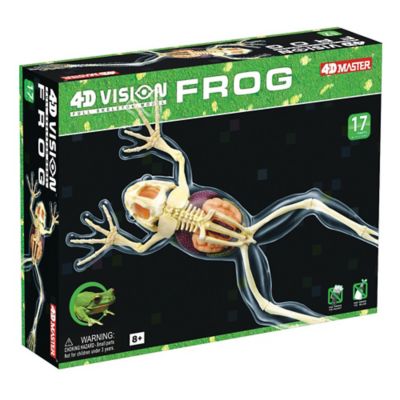 4D Master&reg; 4D Vision Full Skeleton Frog Model