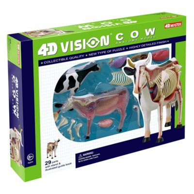 4D Master&reg; 4D Vision Cow Anatomy Model