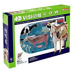 4D Master® 4D Vision Cow Anatomy Model