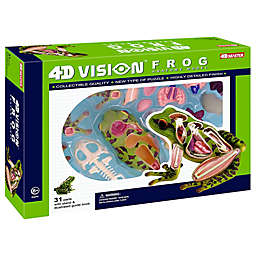 4D Master® Funny Anatomy Vision Frog