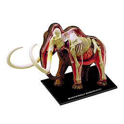 4D Master® Wooly Mammoth Anatomy Model