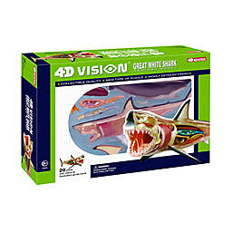 4D Master® 4D Vision Great White Shark Anatomy Model