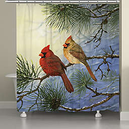 Laural Home Winter Solitude Shower Curtain