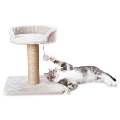 cat tree bed bath and beyond