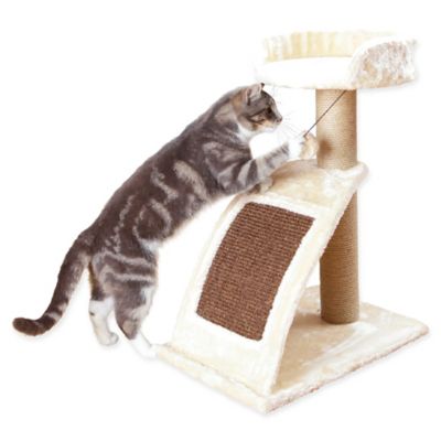 cat tree bed bath and beyond