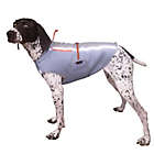 Alternate image 2 for Ultra Paws Ultra Cool X-Small Dog Coat in Silver