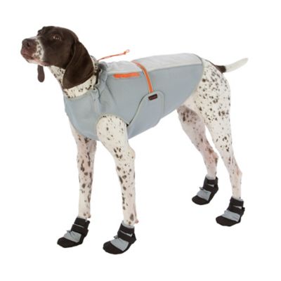 paw perfect bed bath and beyond