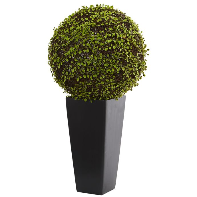 Nearly Natural 2.5Foot Artifical Mohlenbechia Ball Plant in Black