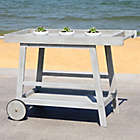 Alternate image 4 for Safavieh Renzo Indoor/Outdoor Bar Cart in Grey Wash