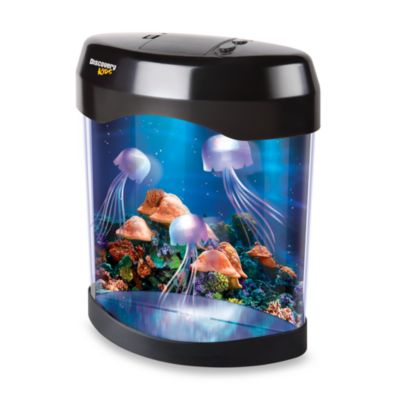 kids fish lamp