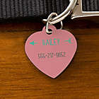 Alternate image 0 for Dog ID Tag Collection