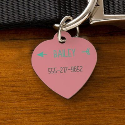 Dog ID Tag Collection