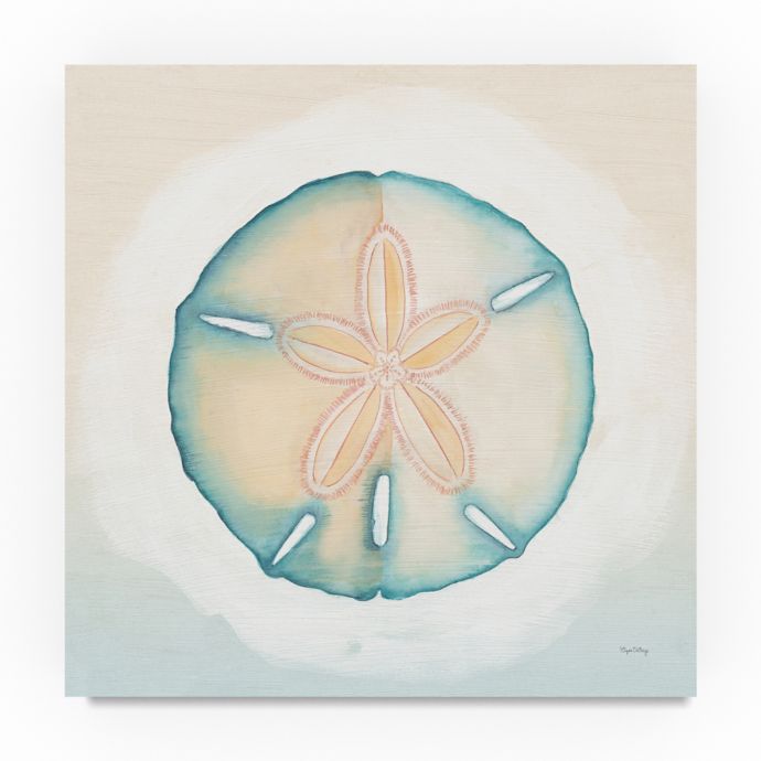 Trademark Fine Art Boardwalk Sand Dollar 14 Inch Square Canvas Art Bed Bath Beyond