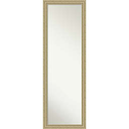 Amanti Art Champagne Teardrop 17-Inch x 51-Inch Framed On the Door Mirror in Gold