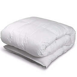 Emily Madison Allegra Year-Round Down Comforter in White