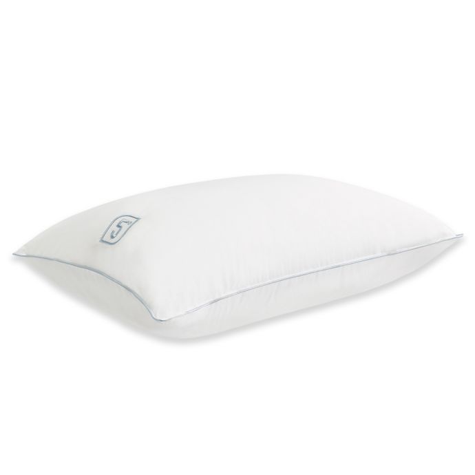 back sleeper pillow