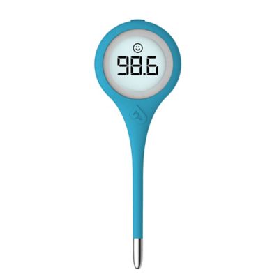 digital stick thermometer